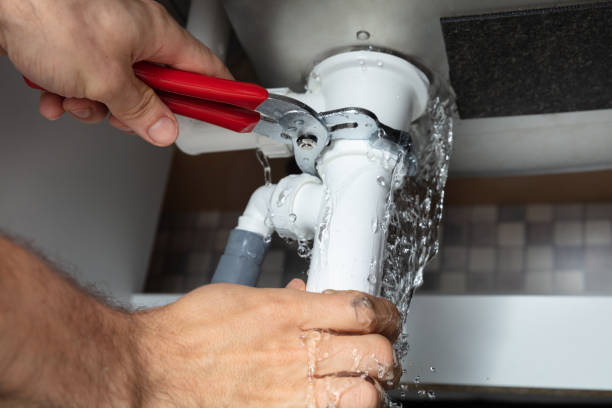 Best Flooded house restoration  in Kenner, LA