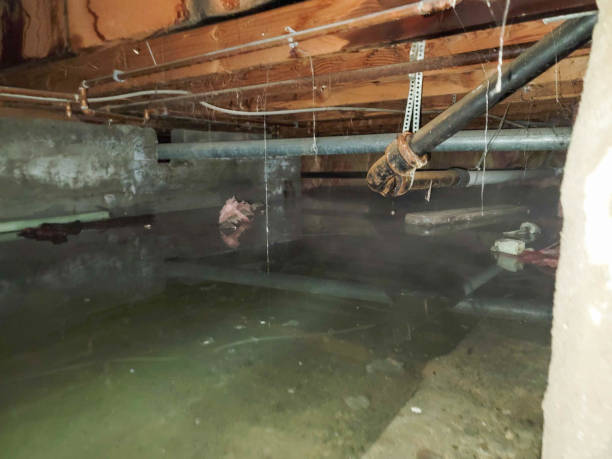 Best 24-hour water damage restoration  in Kenner, LA