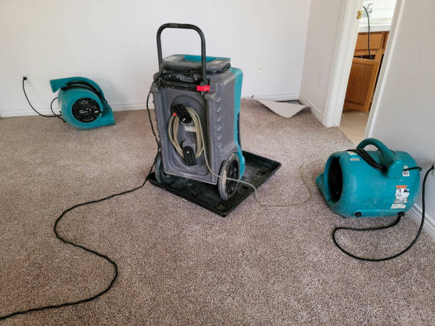 Best Commercial water damage restoration  in Kenner, LA