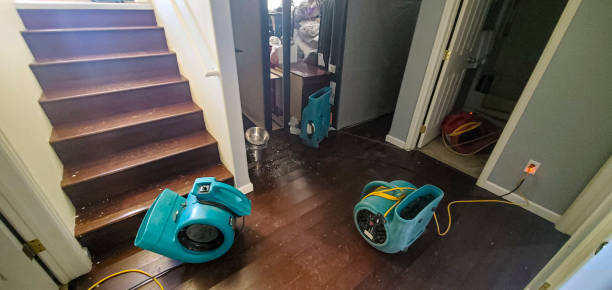 Best Mold removal after water damage  in Kenner, LA