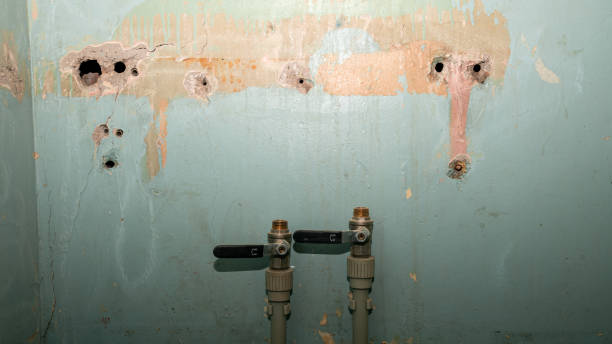 Best Water damage contractors near me  in Kenner, LA