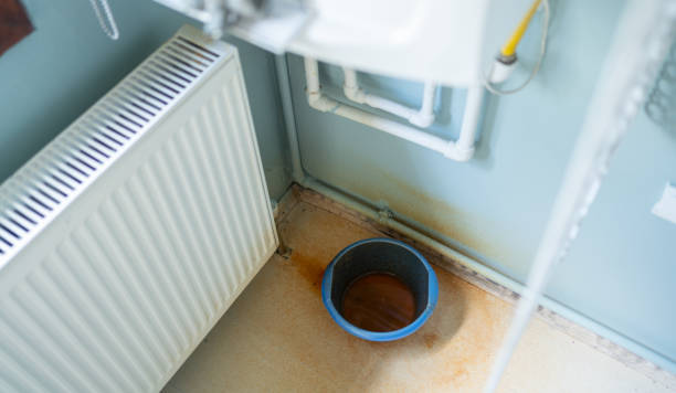 Best Ceiling water damage repair  in Kenner, LA