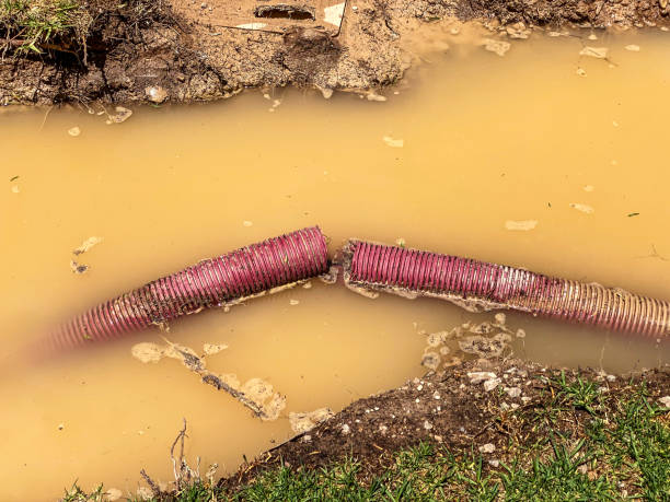 Best Flood restoration services  in Kenner, LA
