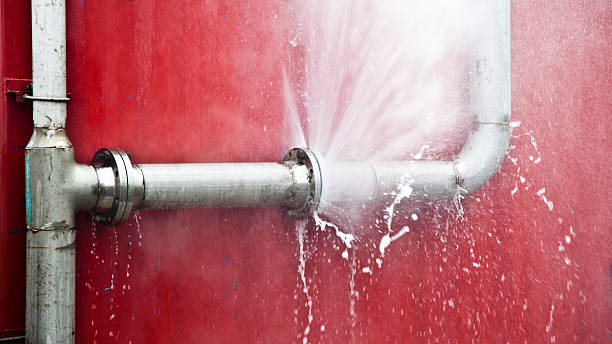 Best Local water damage restoration  in Kenner, LA