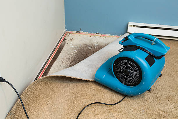 Best Basement water damage restoration  in Kenner, LA